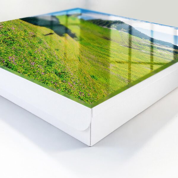 Key cabinet for wall Green Mountains