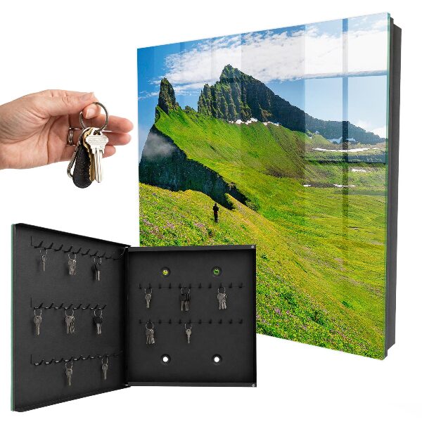 Key cabinet for wall Green Mountains