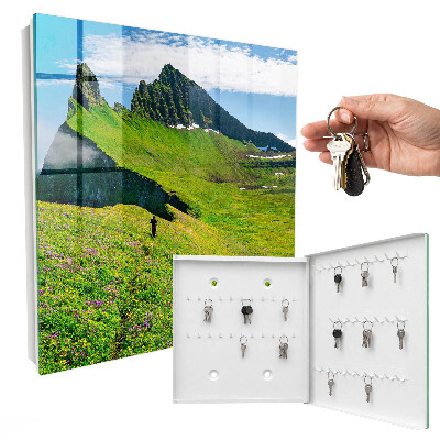 Key cabinet for wall Green Mountains