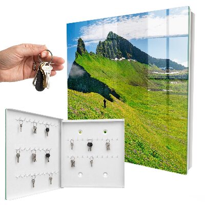 Key cabinet for wall Green Mountains