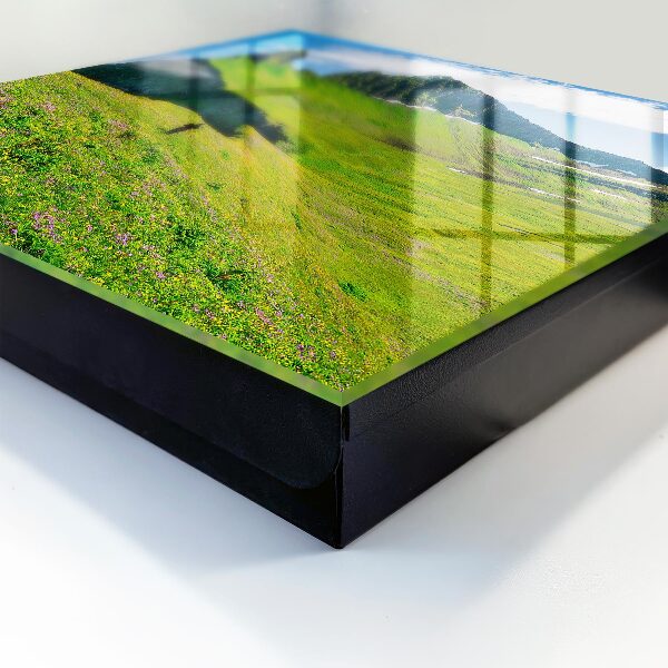 Key cabinet for wall Green Mountains