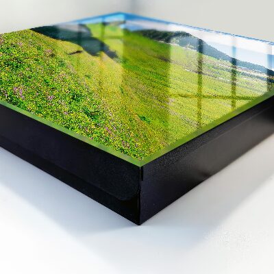 Key cabinet for wall Green Mountains
