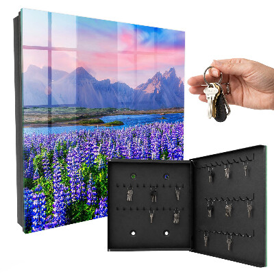 Key storage box Mountain landscape