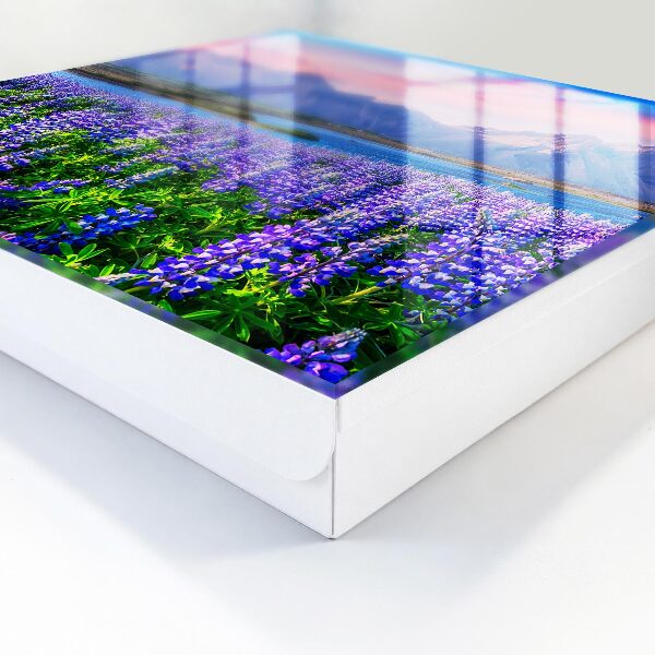 Key storage box Mountain landscape
