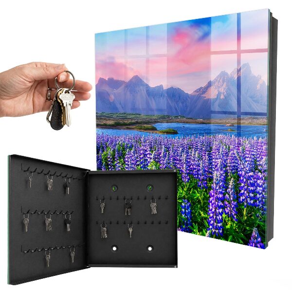 Key storage box Mountain landscape