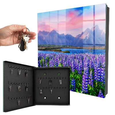 Key storage box Mountain landscape