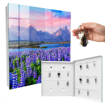 Key storage box Mountain landscape