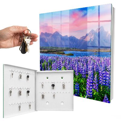 Key storage box Mountain landscape