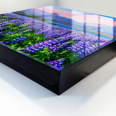 Key storage box Mountain landscape
