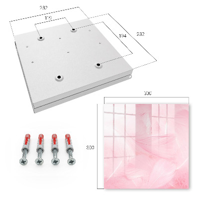 Key storage box Pink feathers