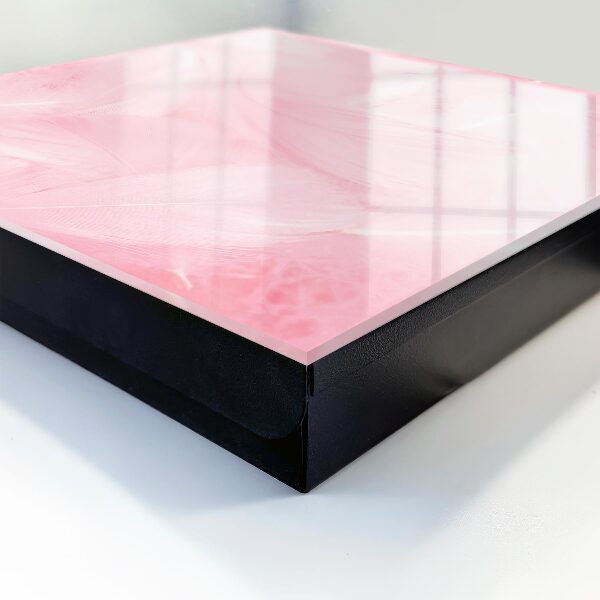 Key storage box Pink feathers