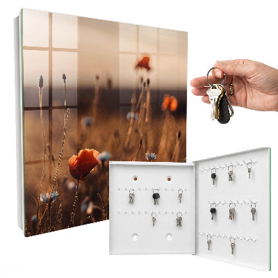 Key box Poppy fields
