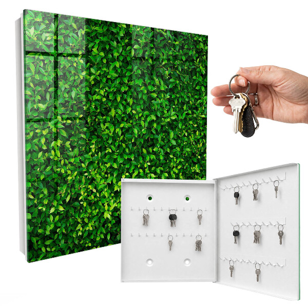 Key cabinet for wall Green garden