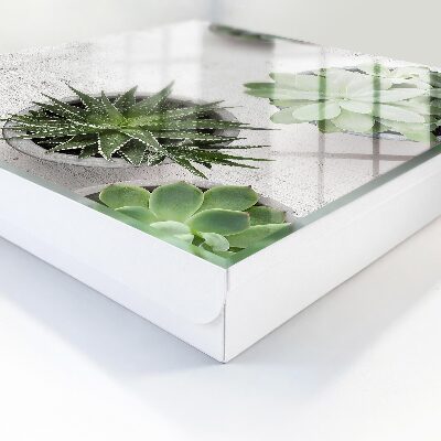 Key cabinet for wall Green succulents