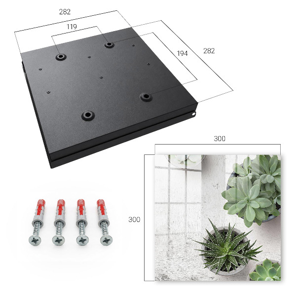 Key cabinet for wall Green succulents
