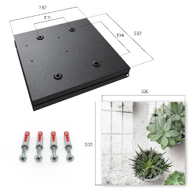 Key cabinet for wall Green succulents
