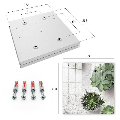 Key cabinet for wall Green succulents