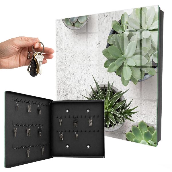 Key cabinet for wall Green succulents
