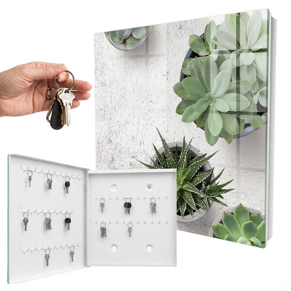 Key cabinet for wall Green succulents
