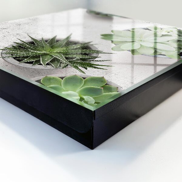 Key cabinet for wall Green succulents