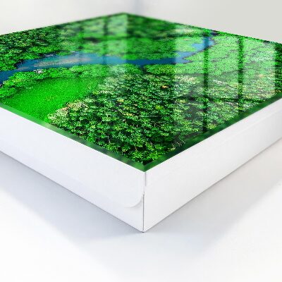 Key box Green forests