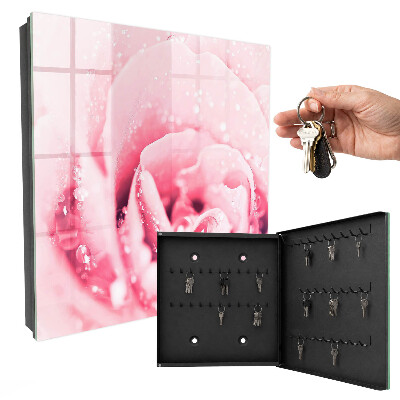 Key cabinet for wall Pink delicacy