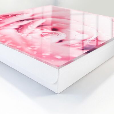 Key cabinet for wall Pink delicacy