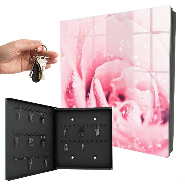 Key cabinet for wall Pink delicacy