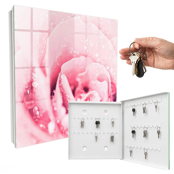 Key cabinet for wall Pink delicacy