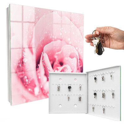 Key cabinet for wall Pink delicacy
