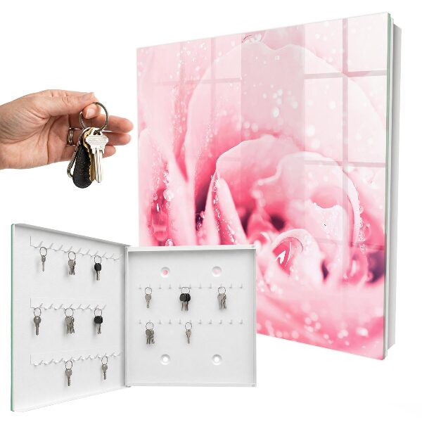 Key cabinet for wall Pink delicacy