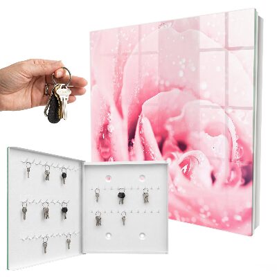Key cabinet for wall Pink delicacy