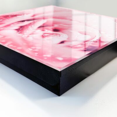 Key cabinet for wall Pink delicacy
