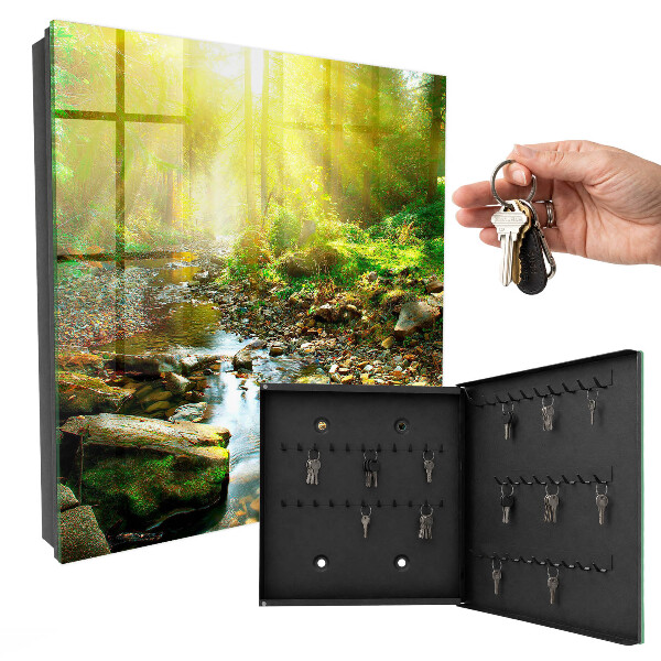 Key box Forest stream