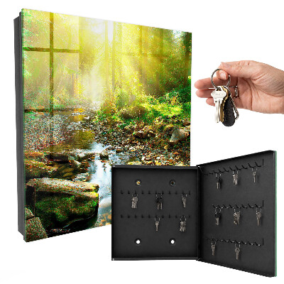Key box Forest stream