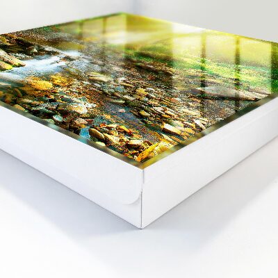 Key box Forest stream