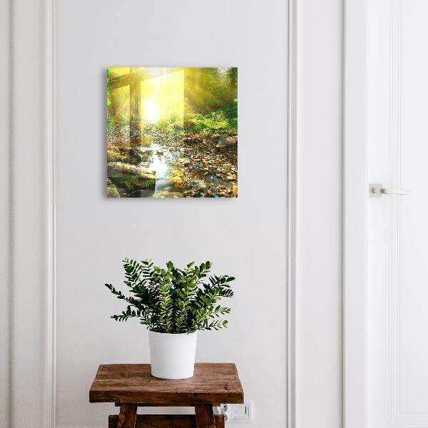 Key box Forest stream