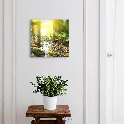 Key box Forest stream