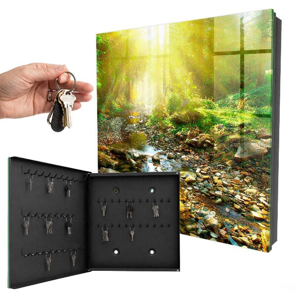 Key box Forest stream