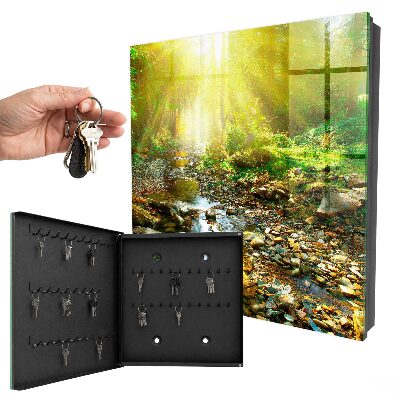 Key box Forest stream