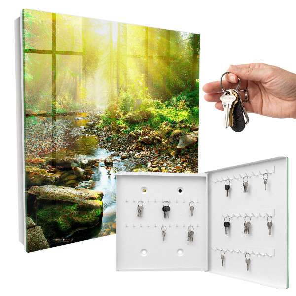 Key box Forest stream
