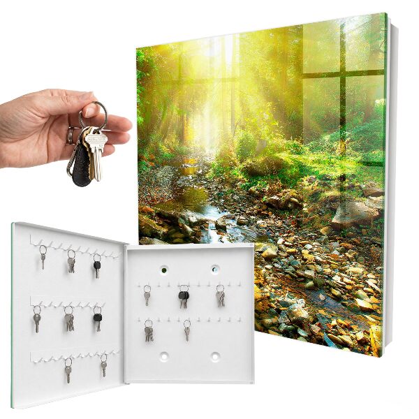 Key box Forest stream