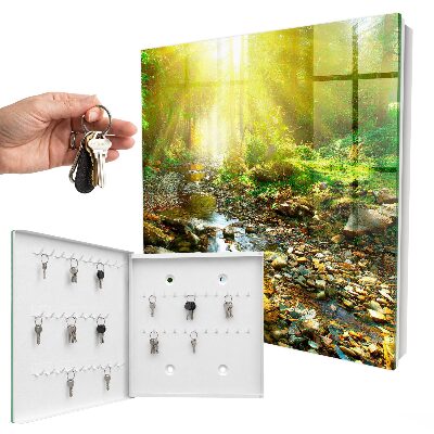 Key box Forest stream