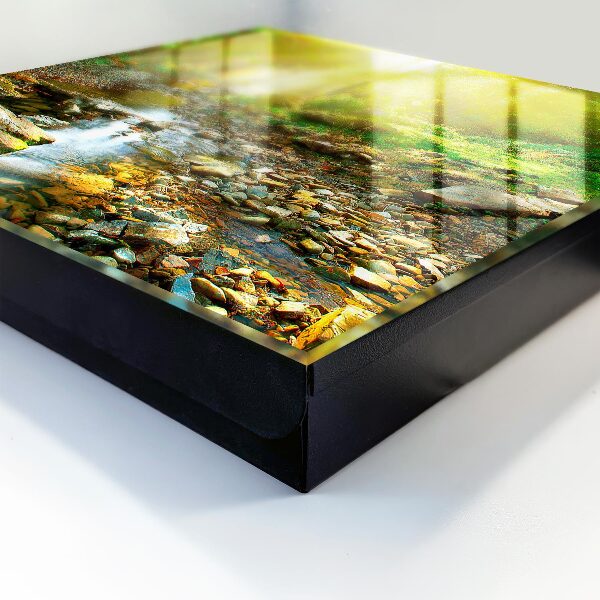 Key box Forest stream