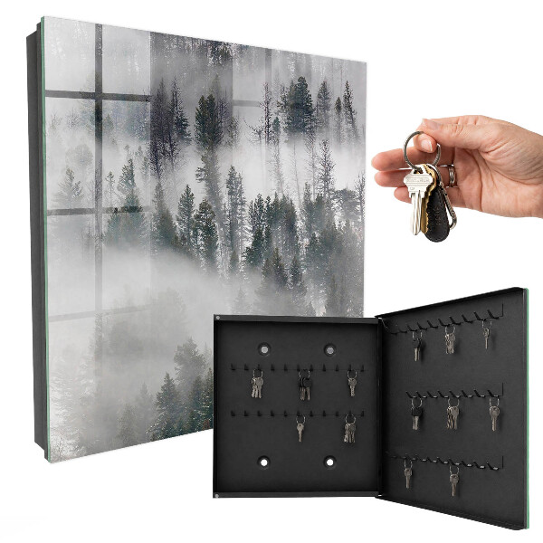 Key storage box Misty green