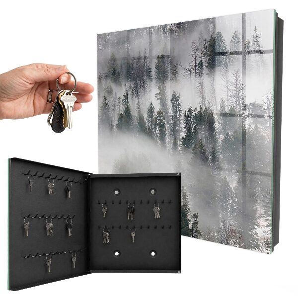 Key storage box Misty green