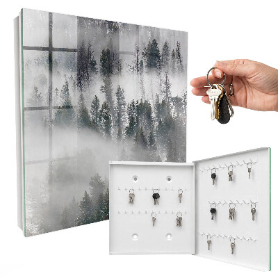 Key storage box Misty green