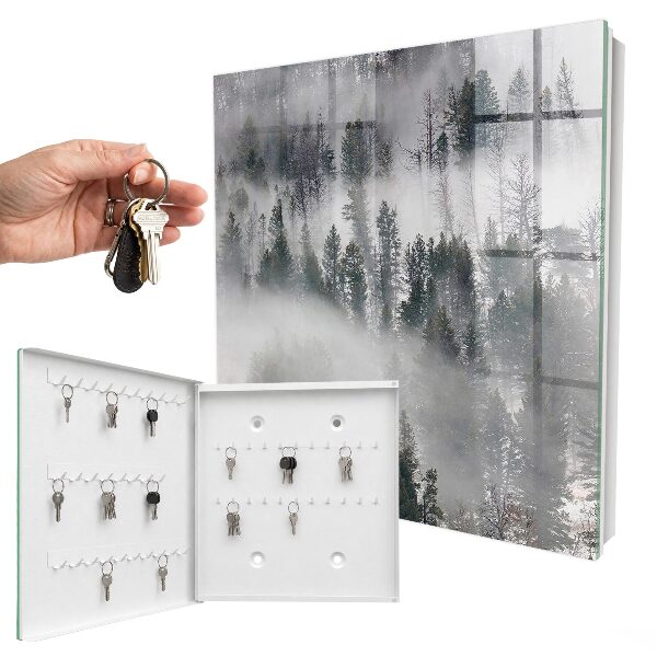 Key storage box Misty green