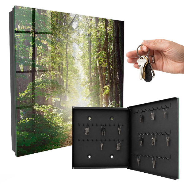 Key box Forest landscape
