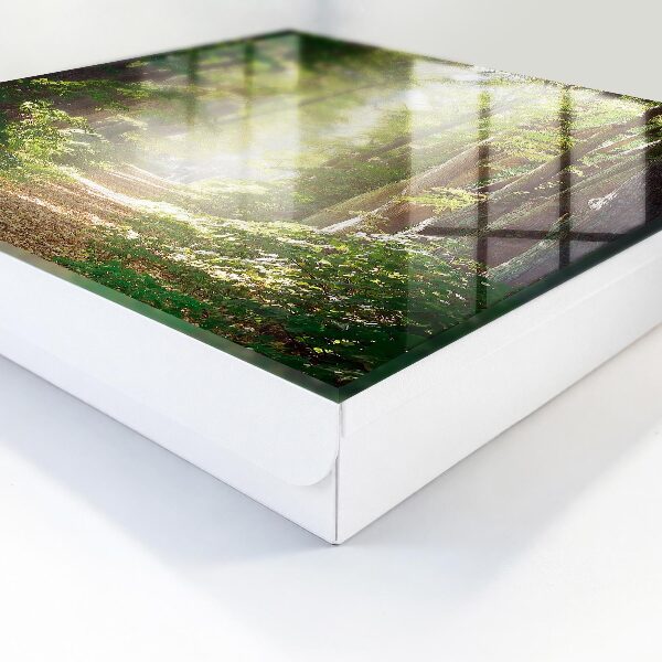 Key box Forest landscape